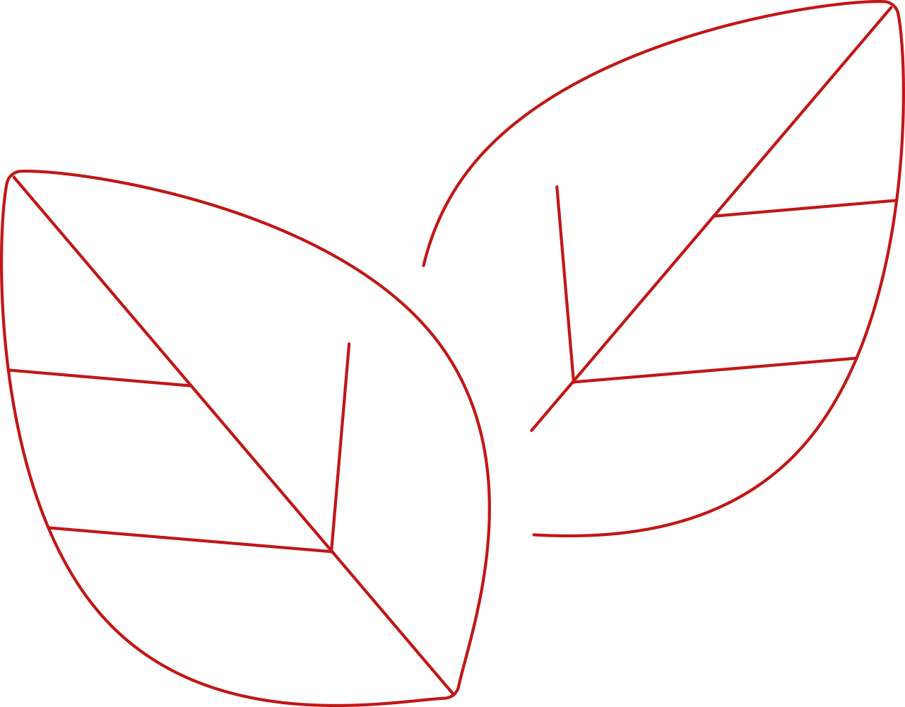 ecospeed_bildwelt_icon_XV