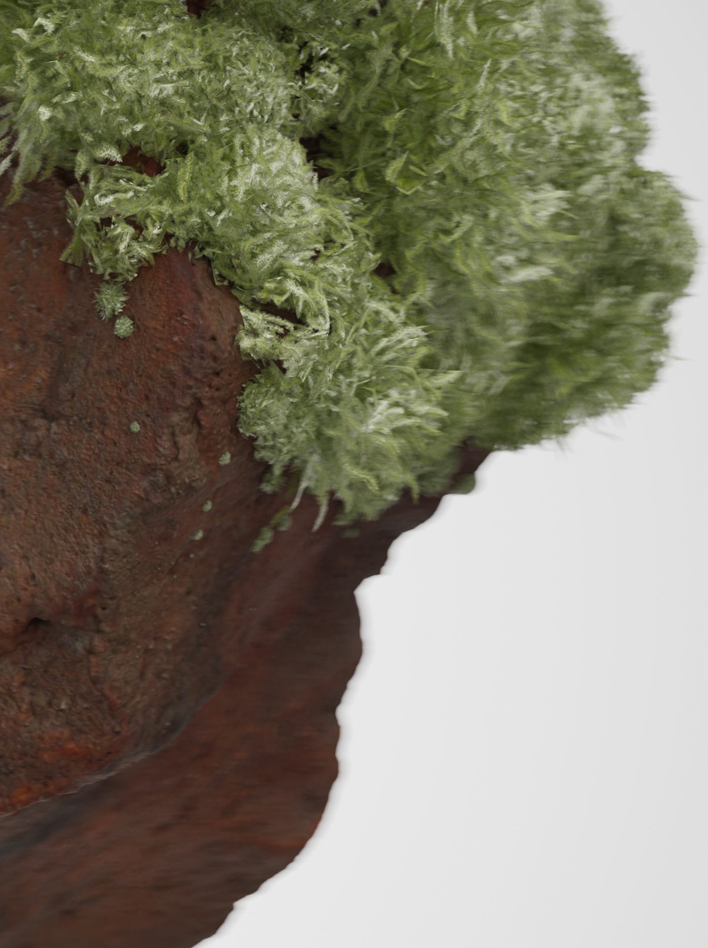 ecospeed_bildwelt_mittel_I