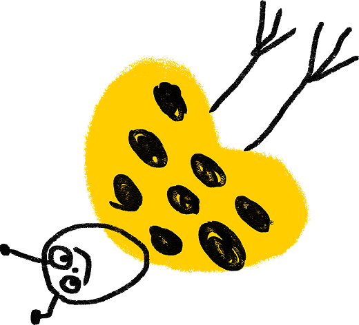 gut_altenhofen_bildwelt_icon_XVI